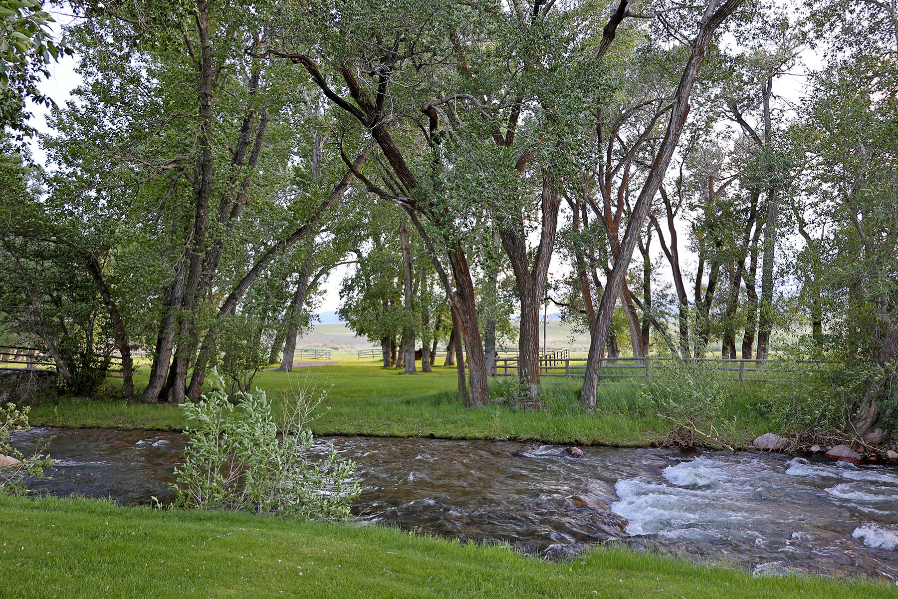 Indian Creek Ranch property picture 57 of 72