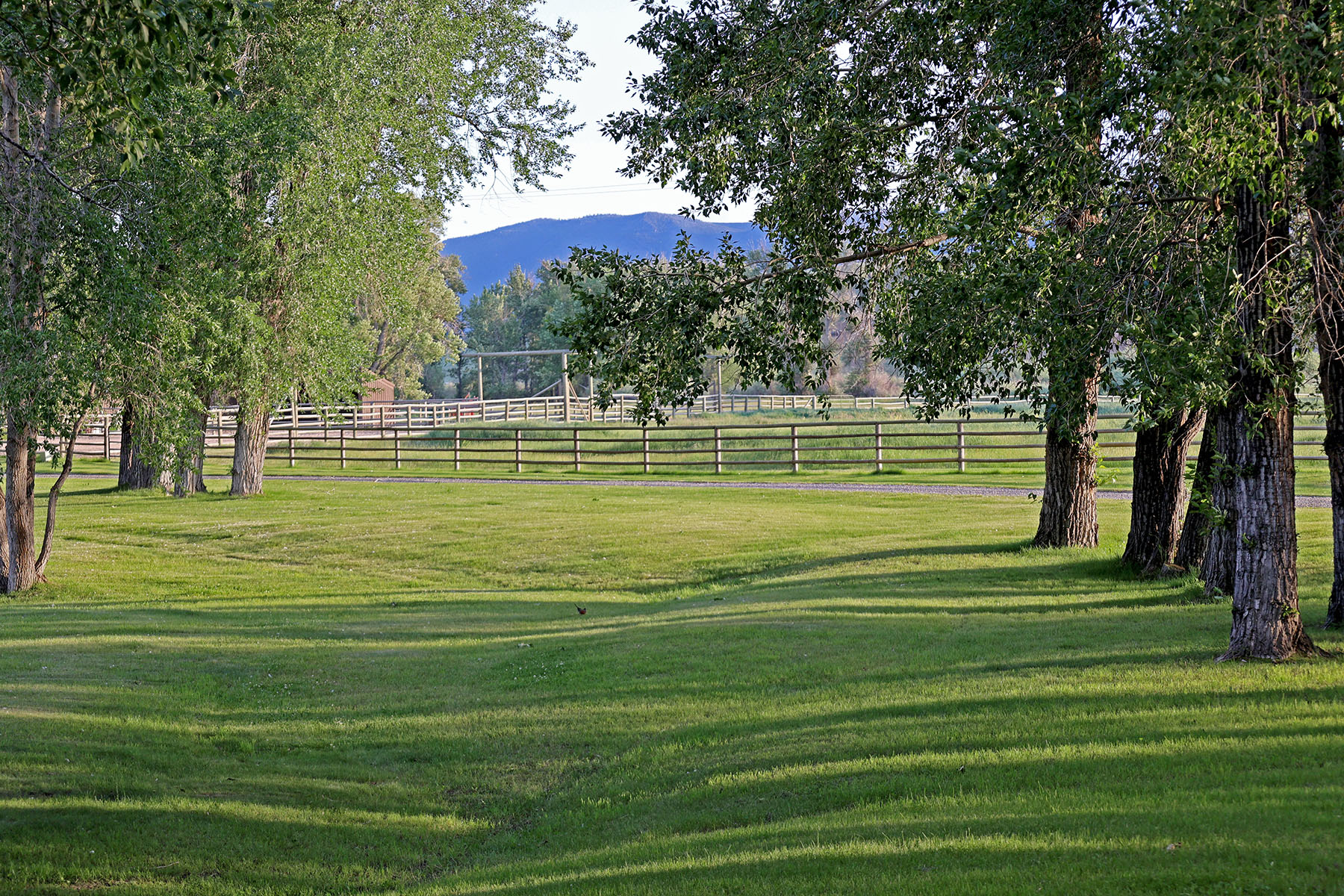 Indian Creek Ranch property picture 67 of 72