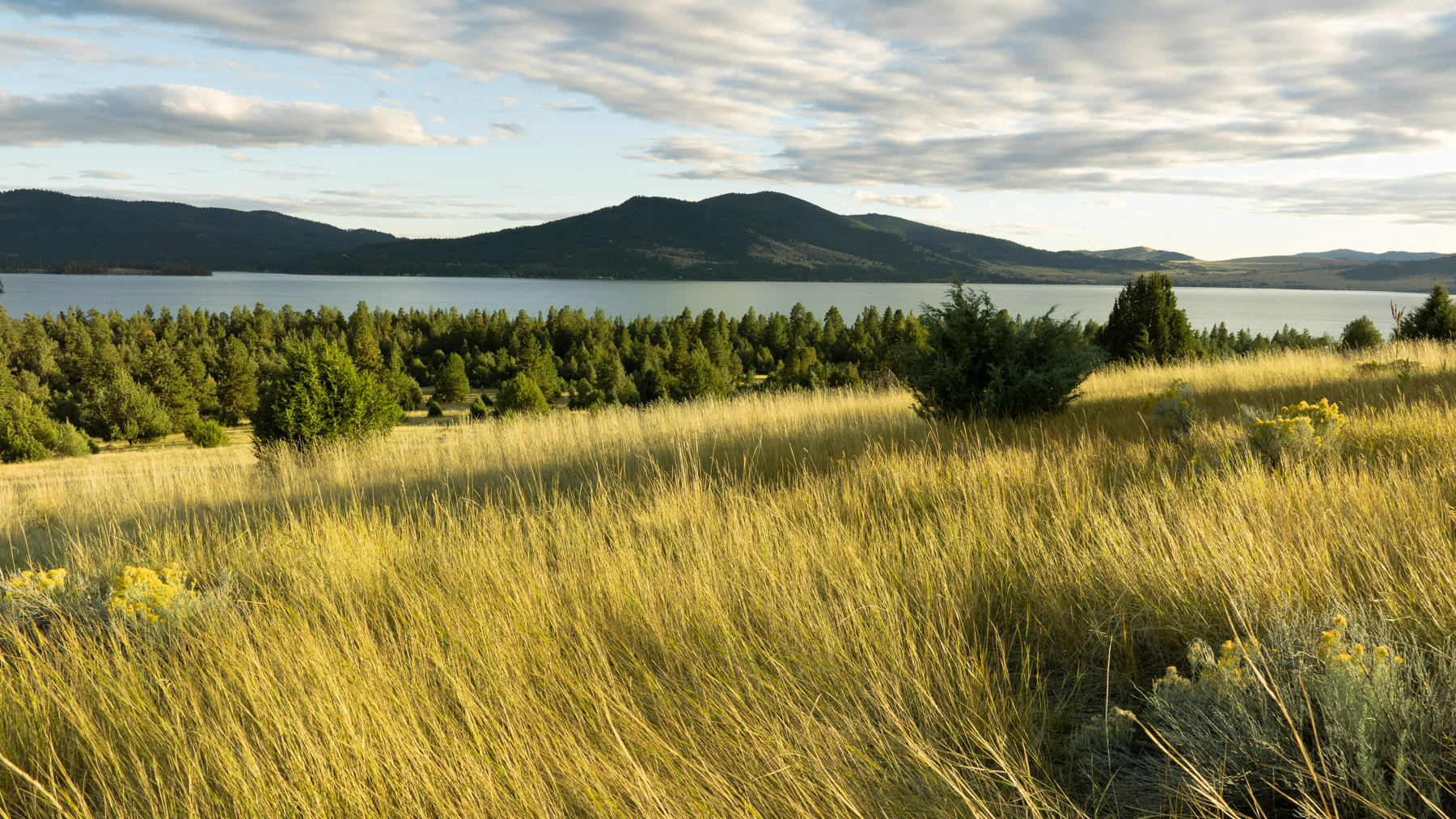 Cromwell Island property picture 21 of 94