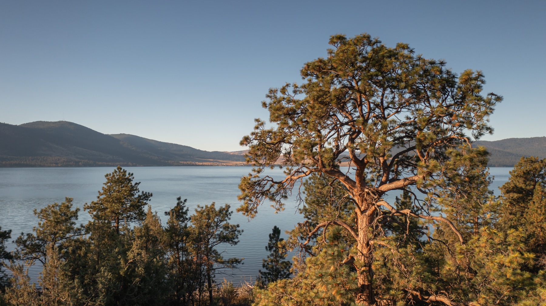 Cromwell Island property picture 29 of 94