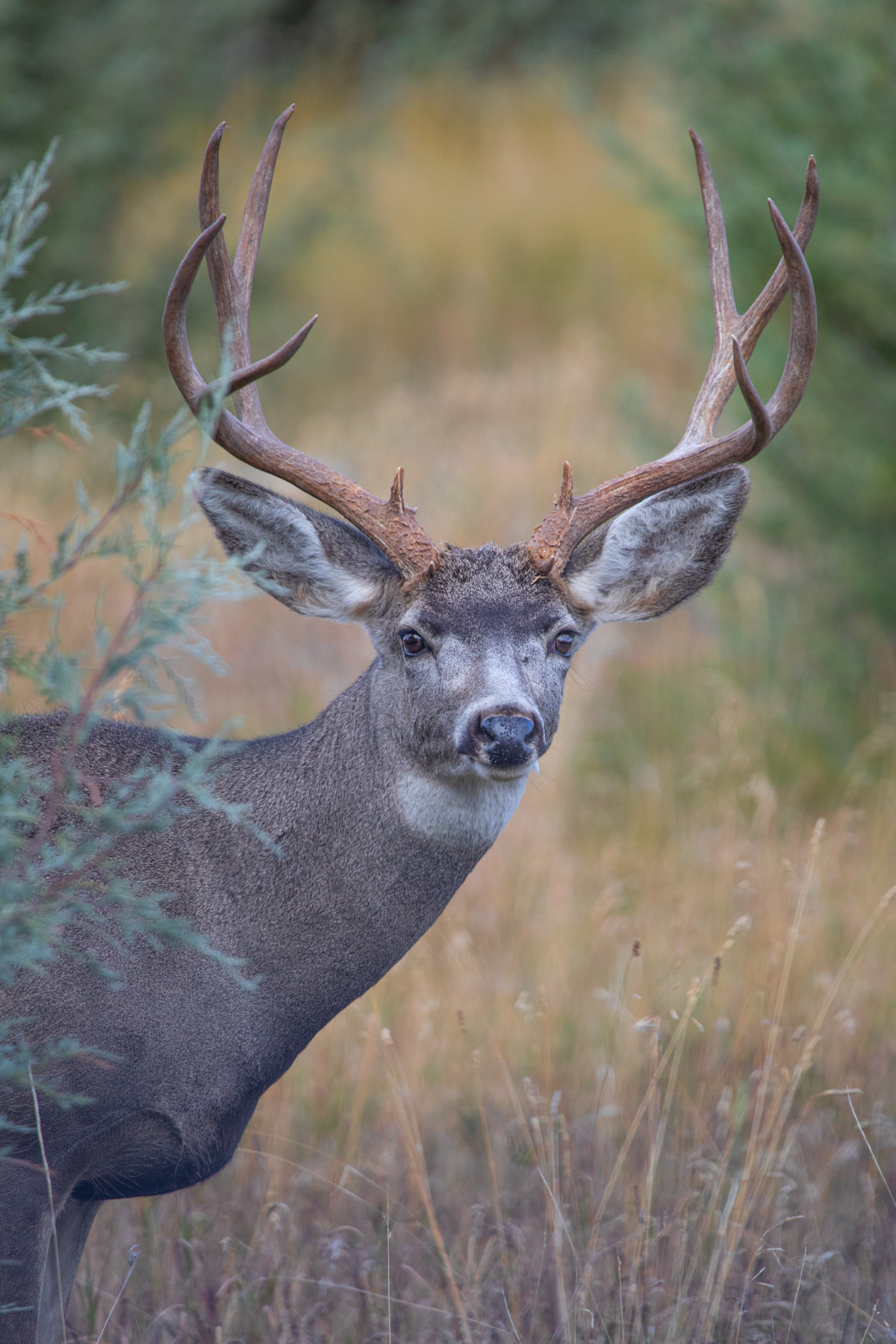 Cromwell Island property picture 75 of 94