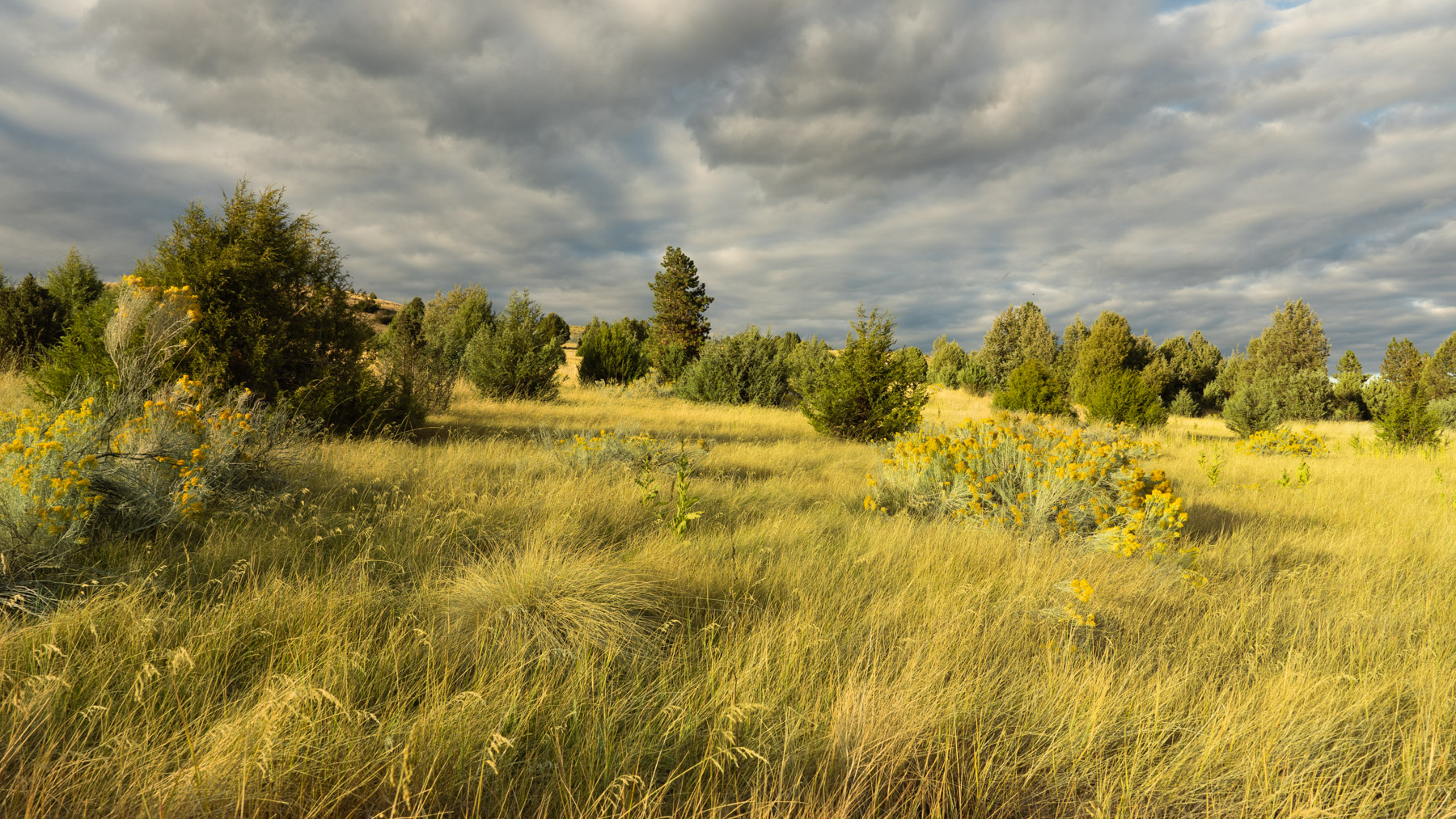 Cromwell Island property picture 88 of 94
