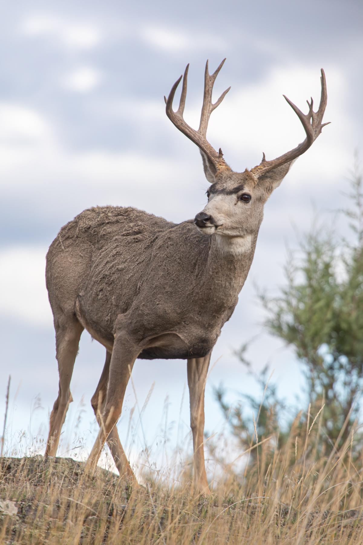 Cromwell Island property picture 77 of 94