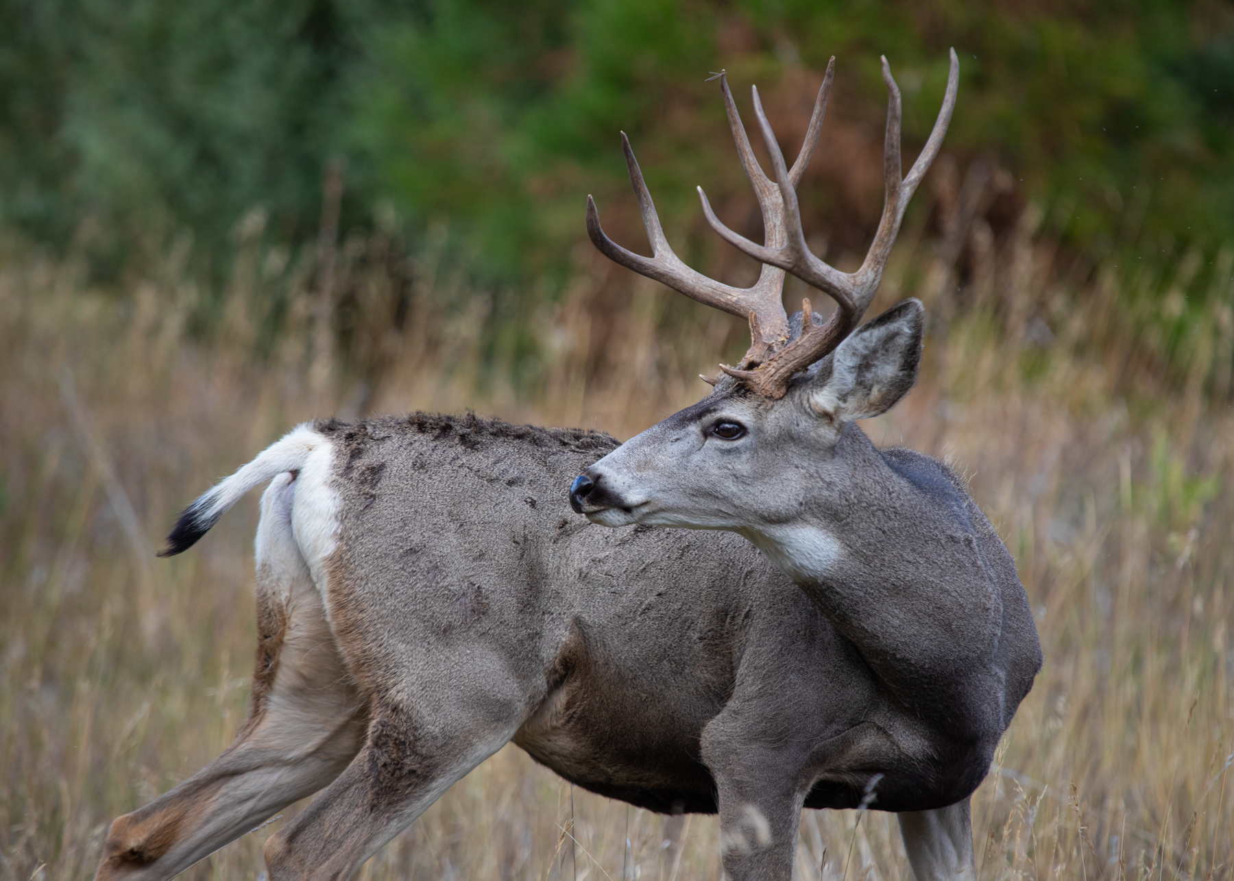 Cromwell Island property picture 76 of 94