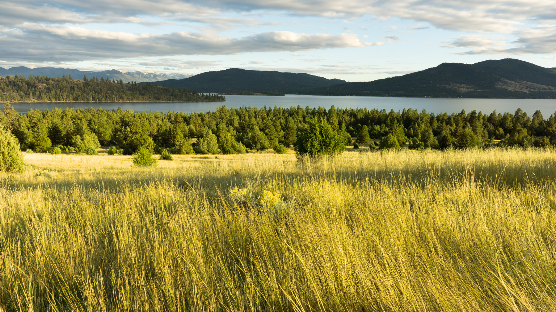 Cromwell Island property picture 28 of 94