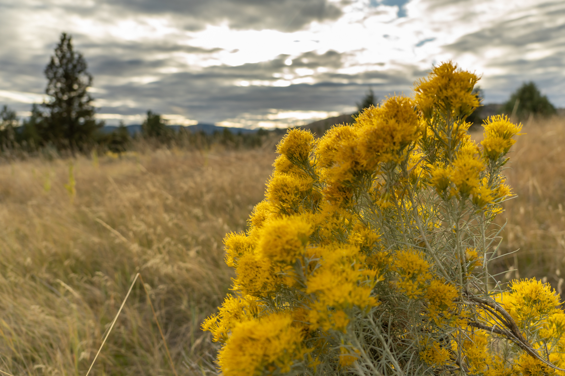 Cromwell Island property picture 89 of 94
