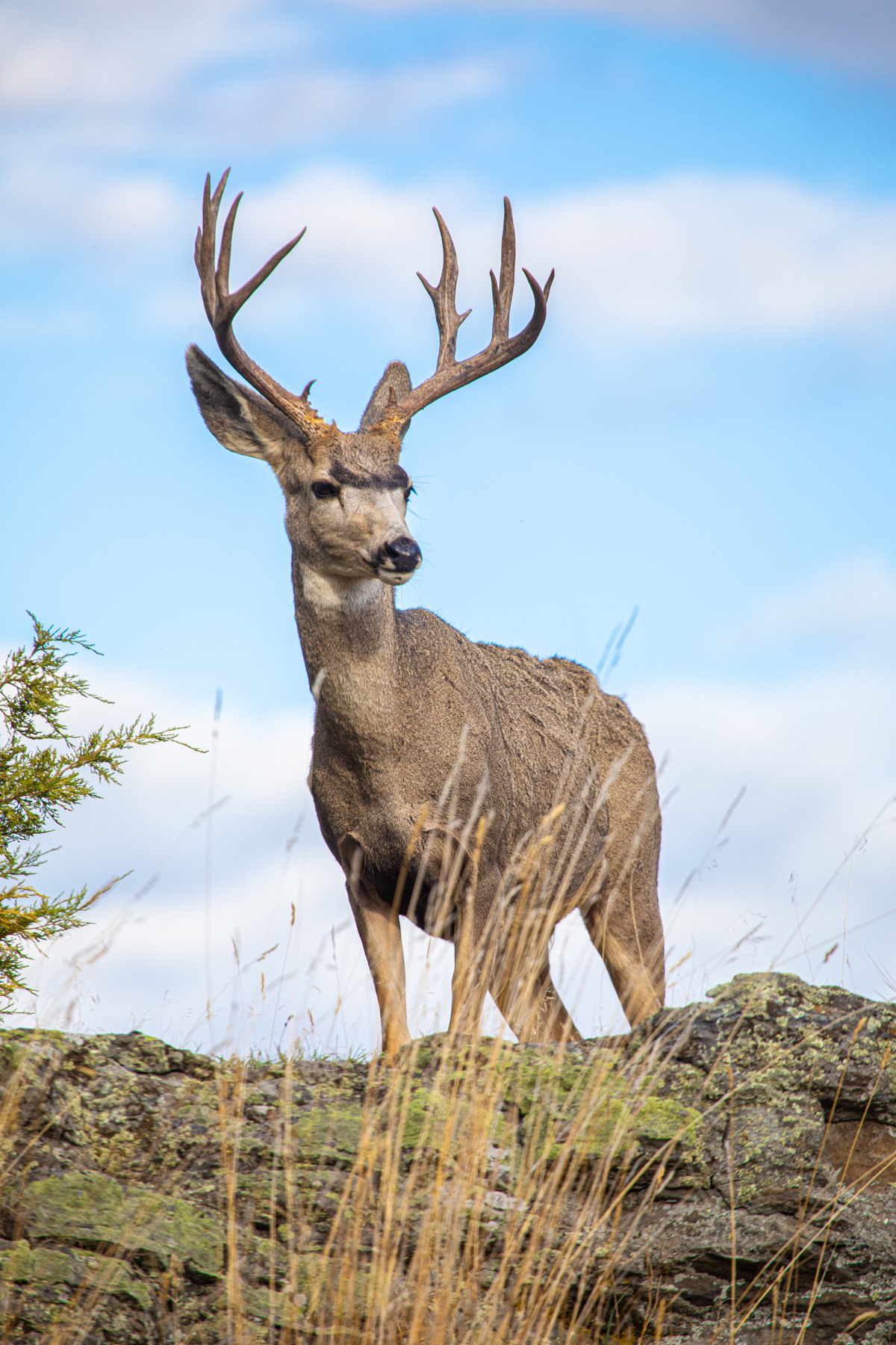 Cromwell Island property picture 79 of 94
