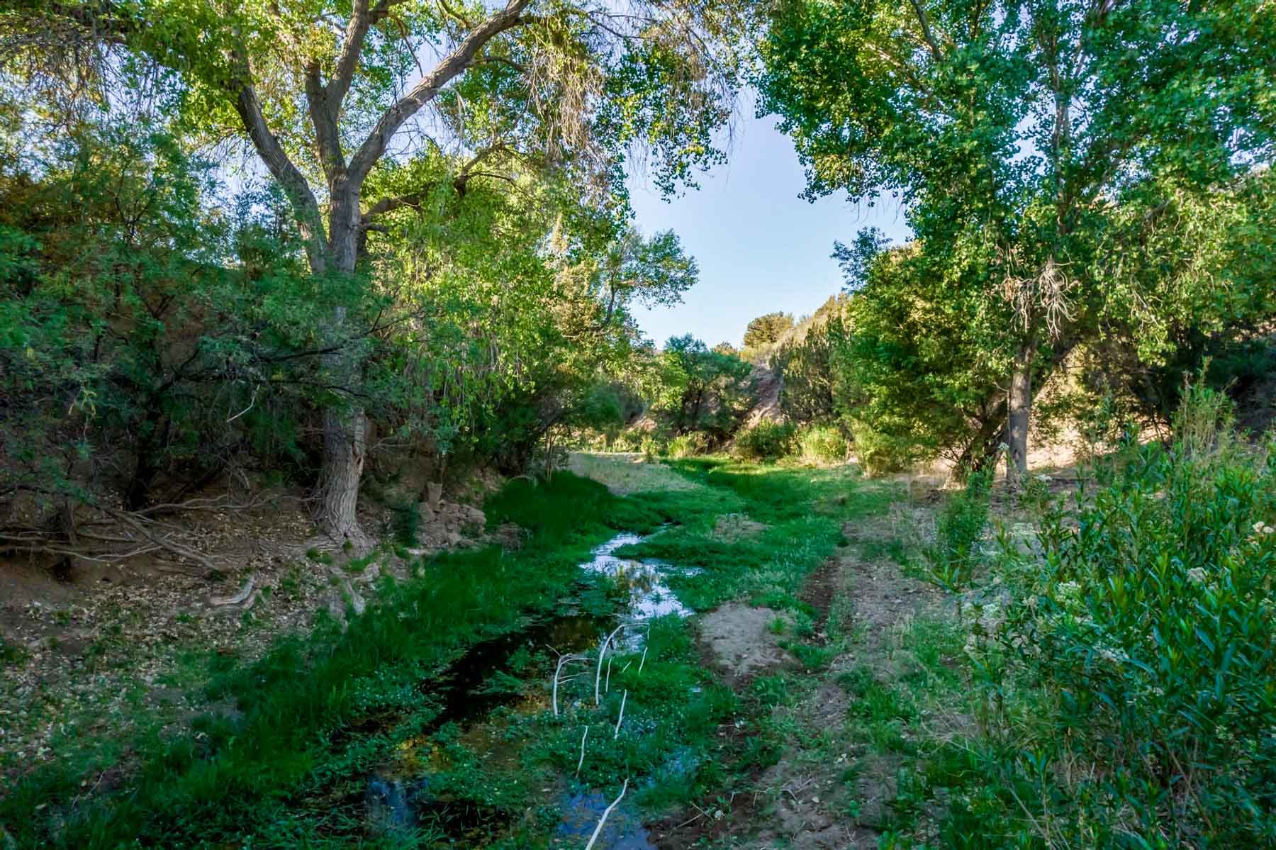 X Lazy B Ranch property picture 83 of 88