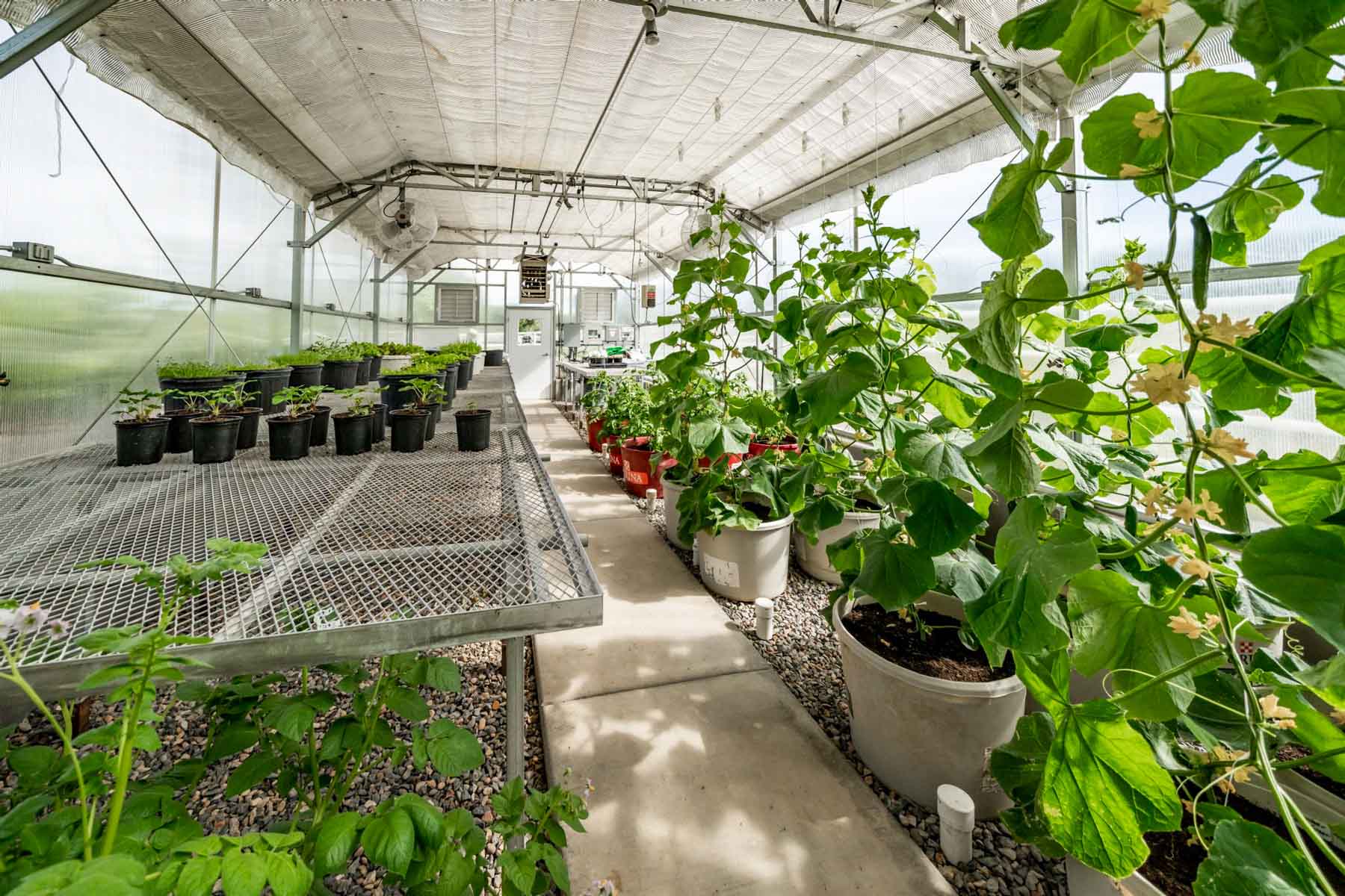 X Lazy B Ranch property picture 80 of 88