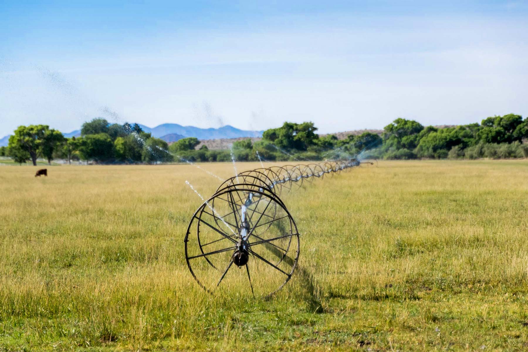 X Lazy B Ranch property picture 76 of 88