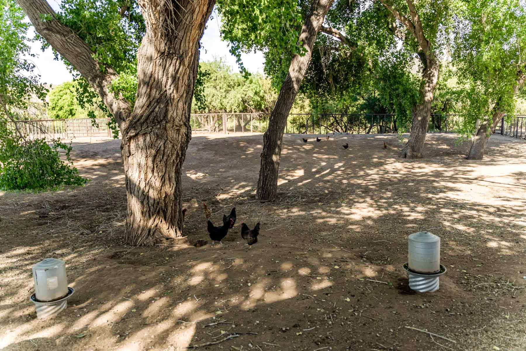 X Lazy B Ranch property picture 68 of 88