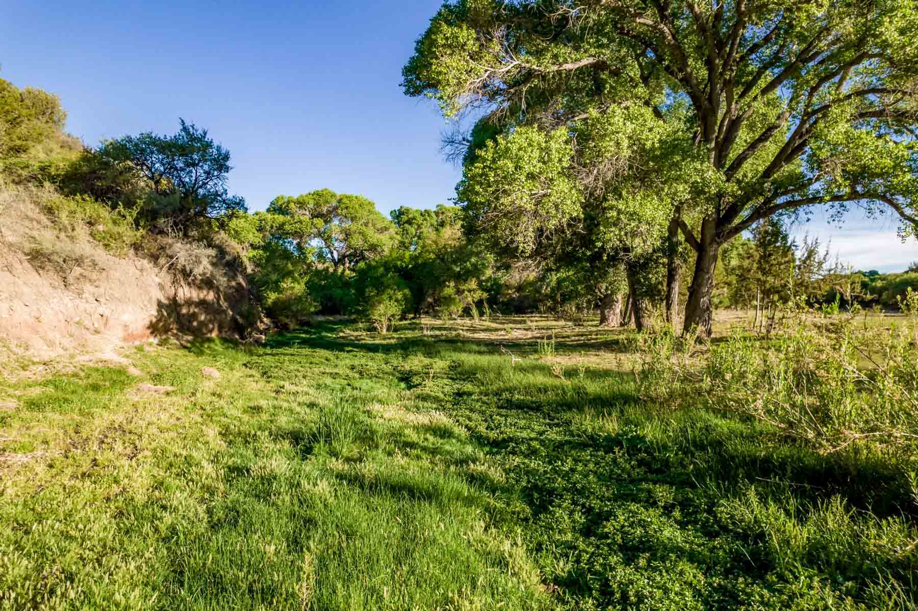 X Lazy B Ranch property picture 82 of 88