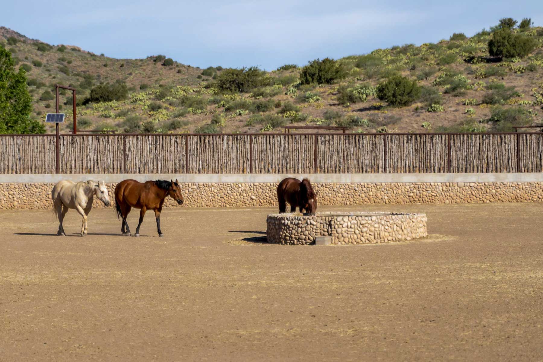 X Lazy B Ranch property picture 67 of 88