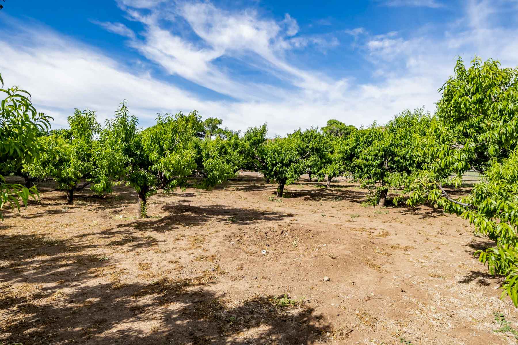 X Lazy B Ranch property picture 81 of 88