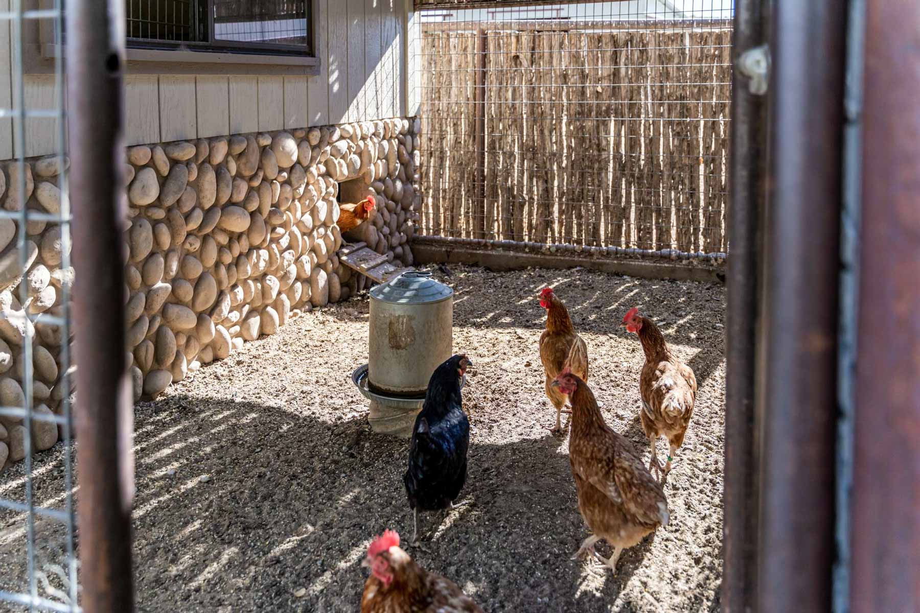 X Lazy B Ranch property picture 69 of 88