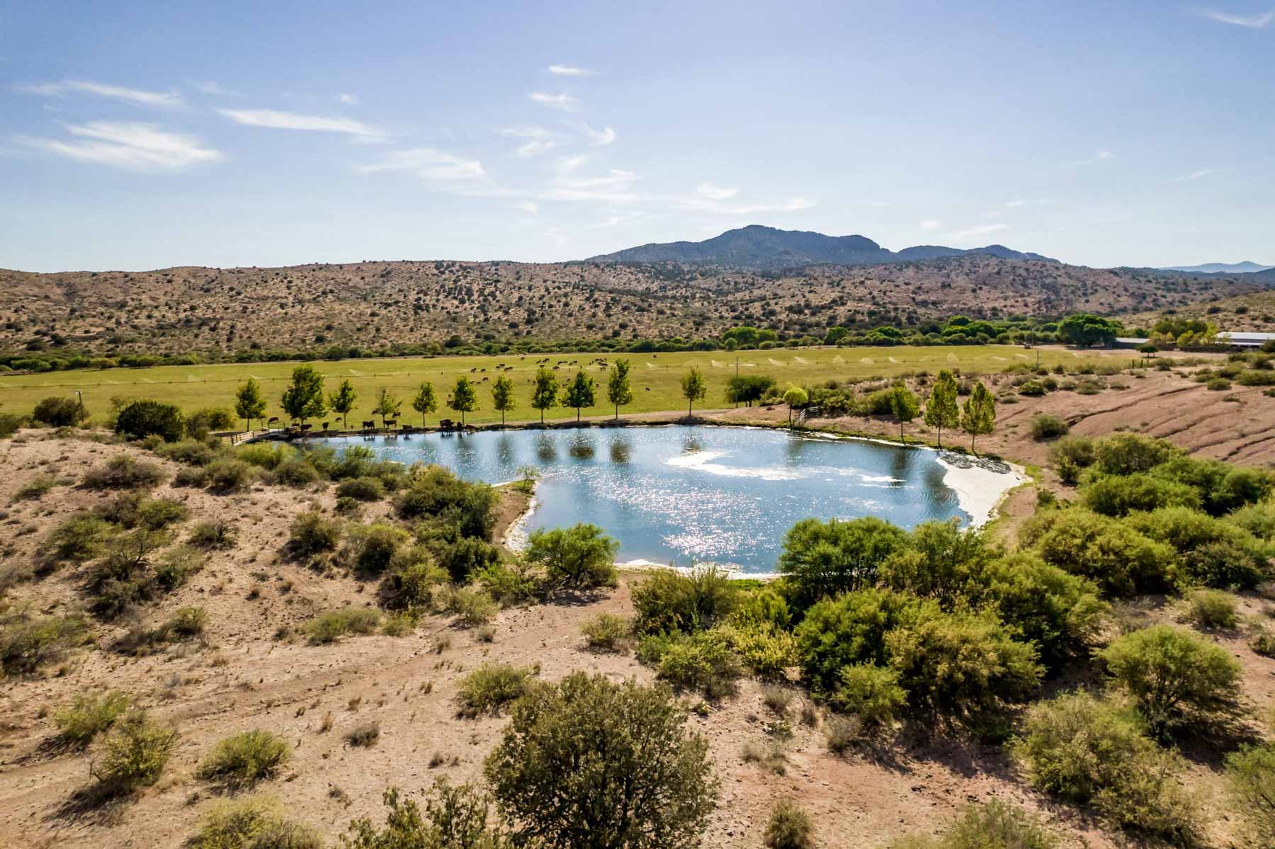 X Lazy B Ranch property picture 47 of 88