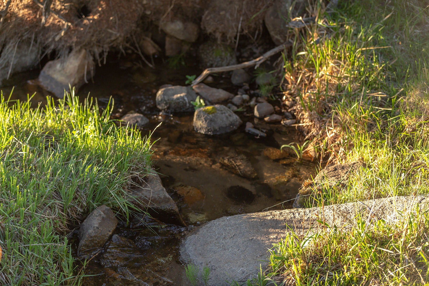 Highland View Ranch property picture 33 of 47