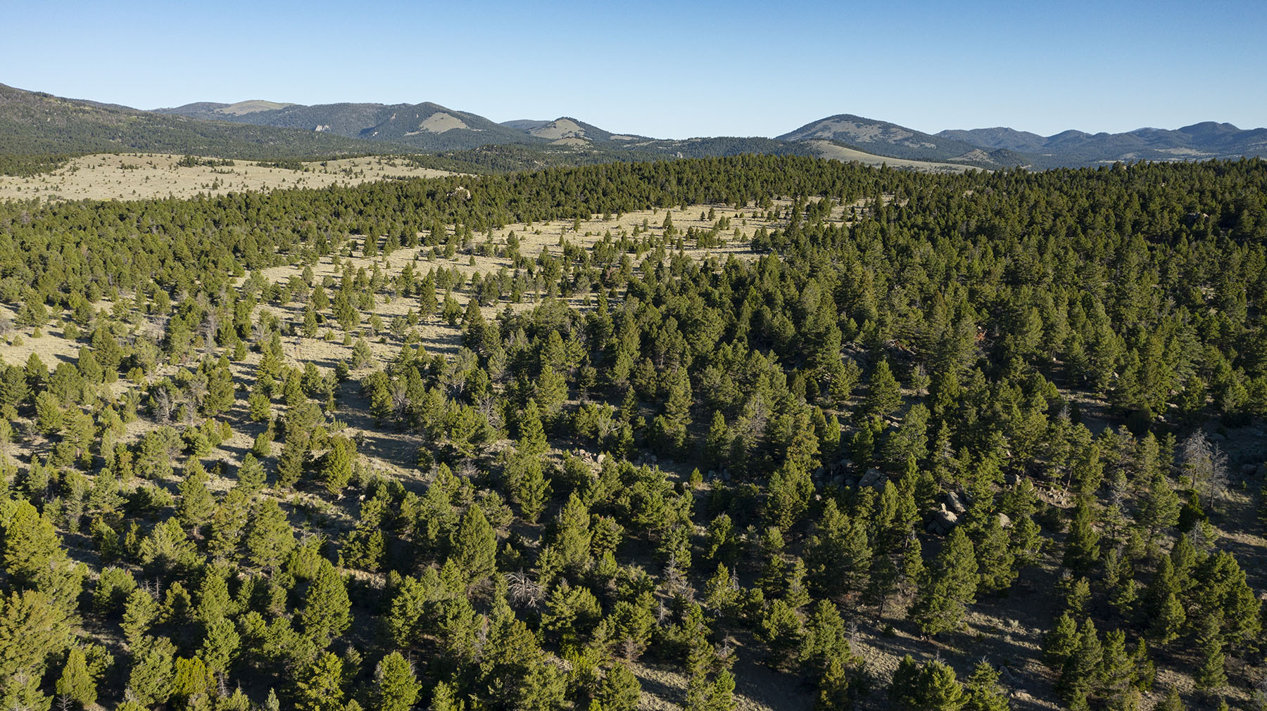 Highland View Ranch property picture 4 of 47