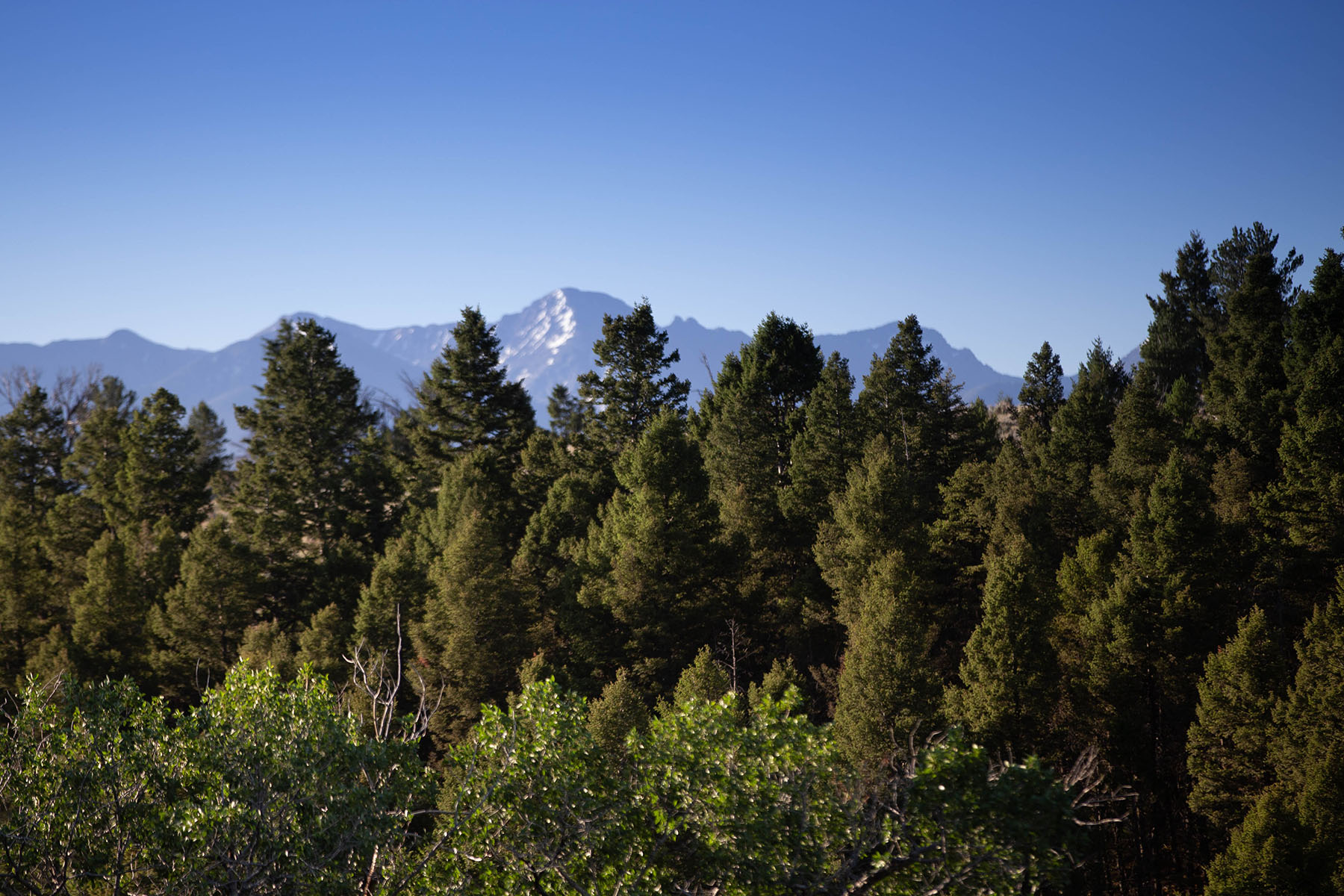 Highland View Ranch property picture 41 of 47