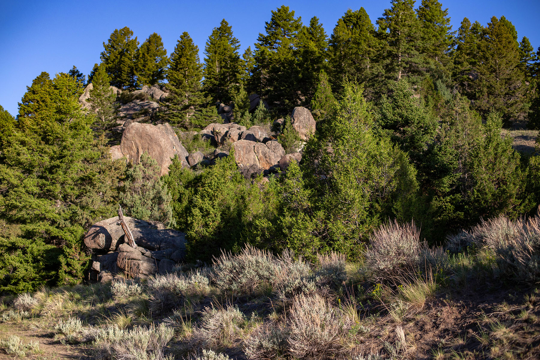 Highland View Ranch property picture 39 of 47