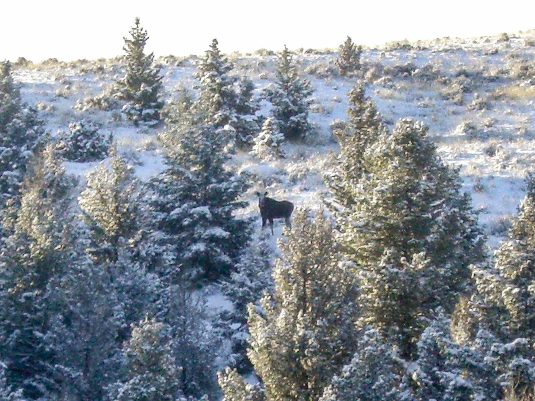 Highland View Ranch property picture 7 of 47