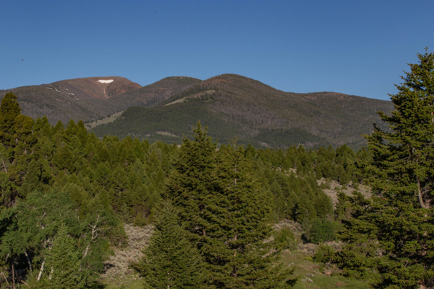 Highland View Ranch property picture 43 of 47