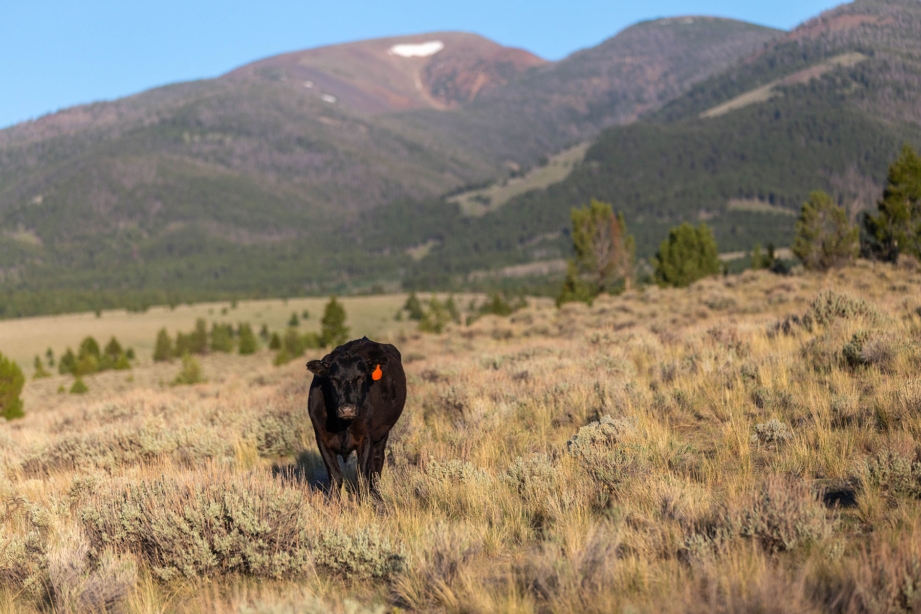 Highland View Ranch property picture 31 of 47