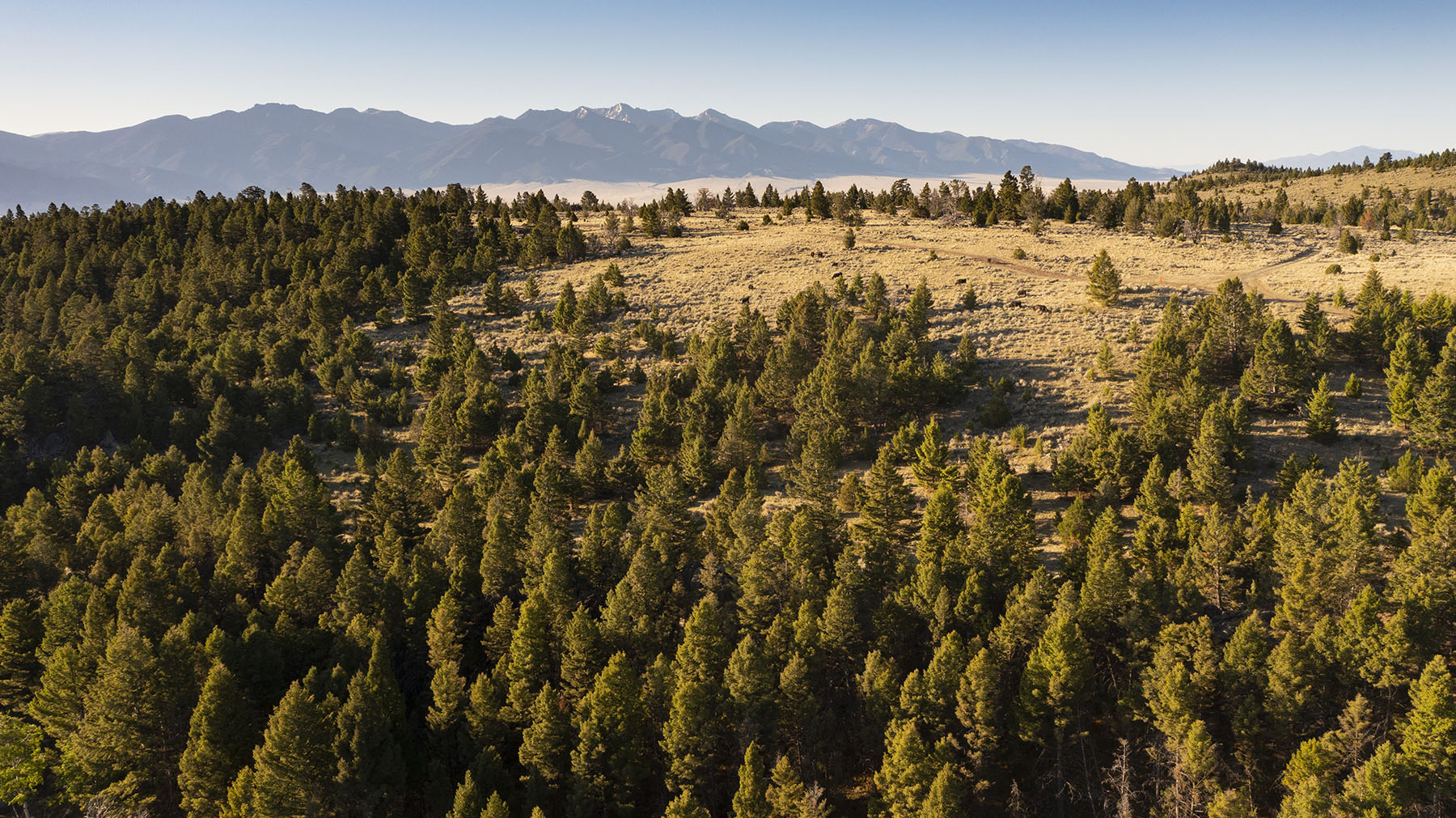 Highland View Ranch property picture 35 of 47