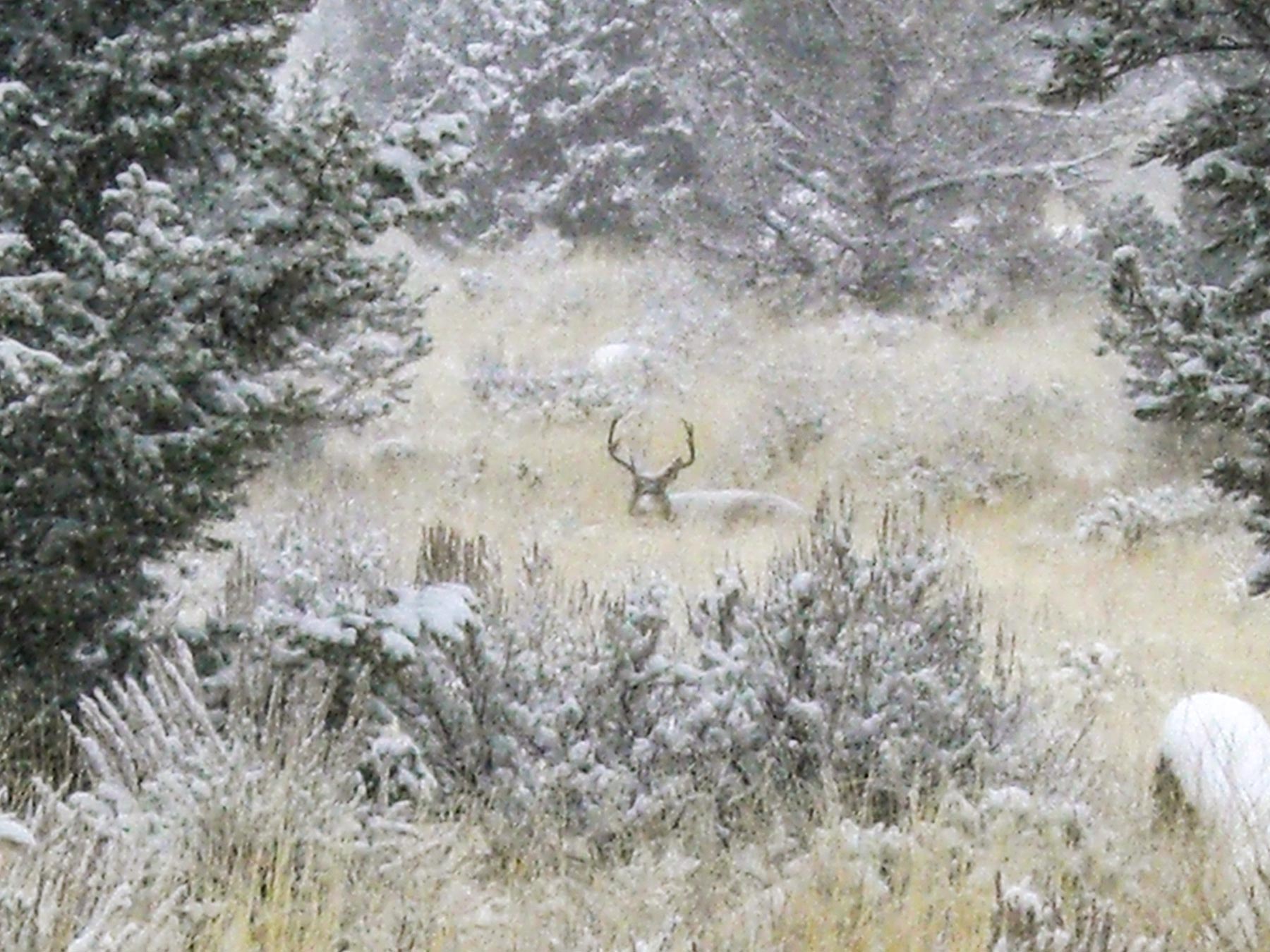 Highland View Ranch property picture 6 of 47