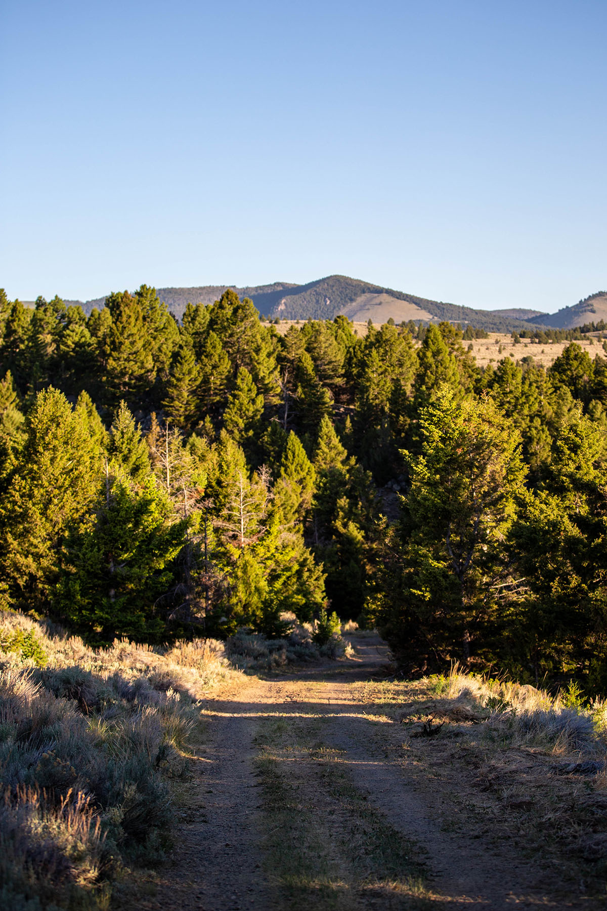 Highland View Ranch property picture 38 of 47