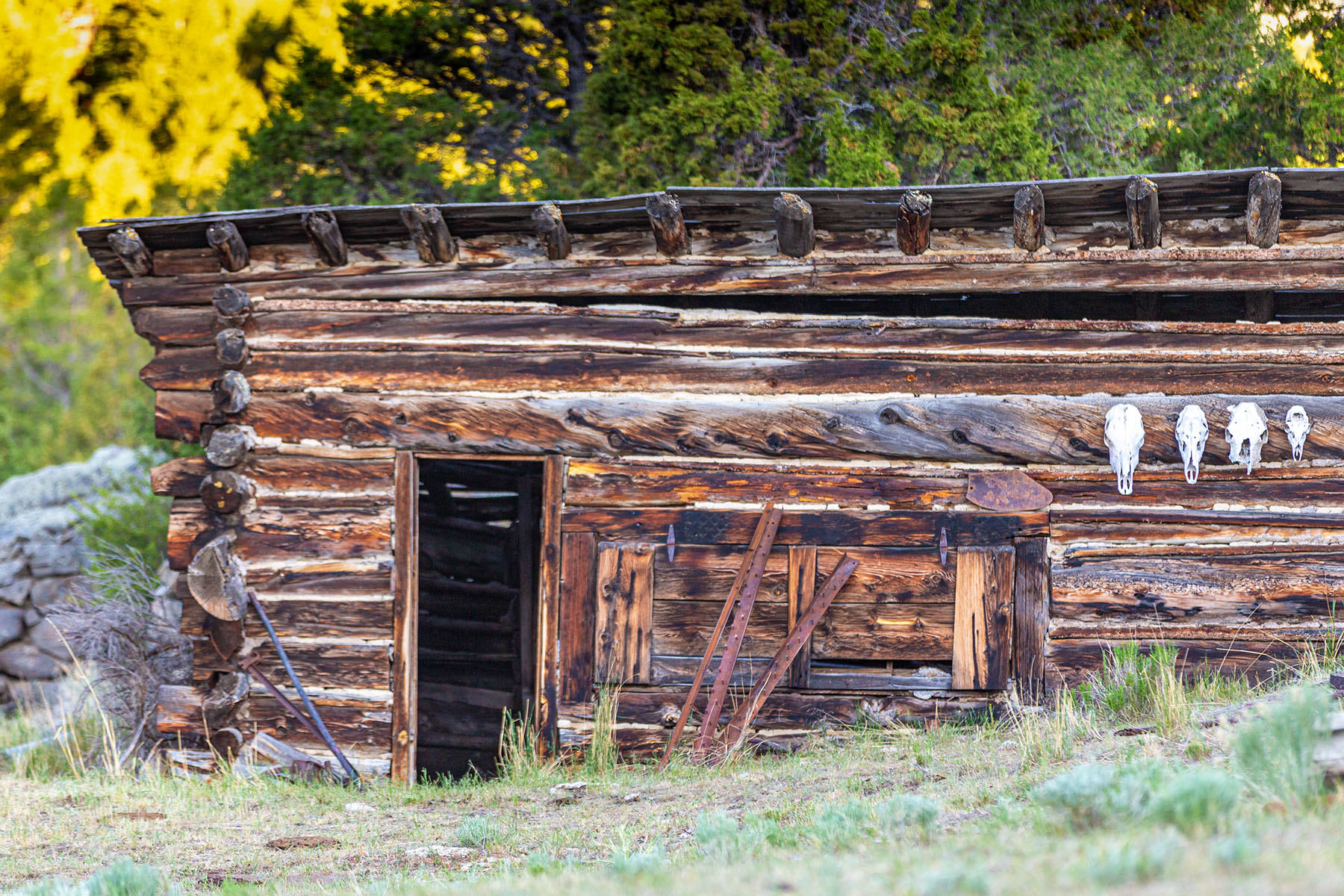 Highland View Ranch property picture 34 of 47