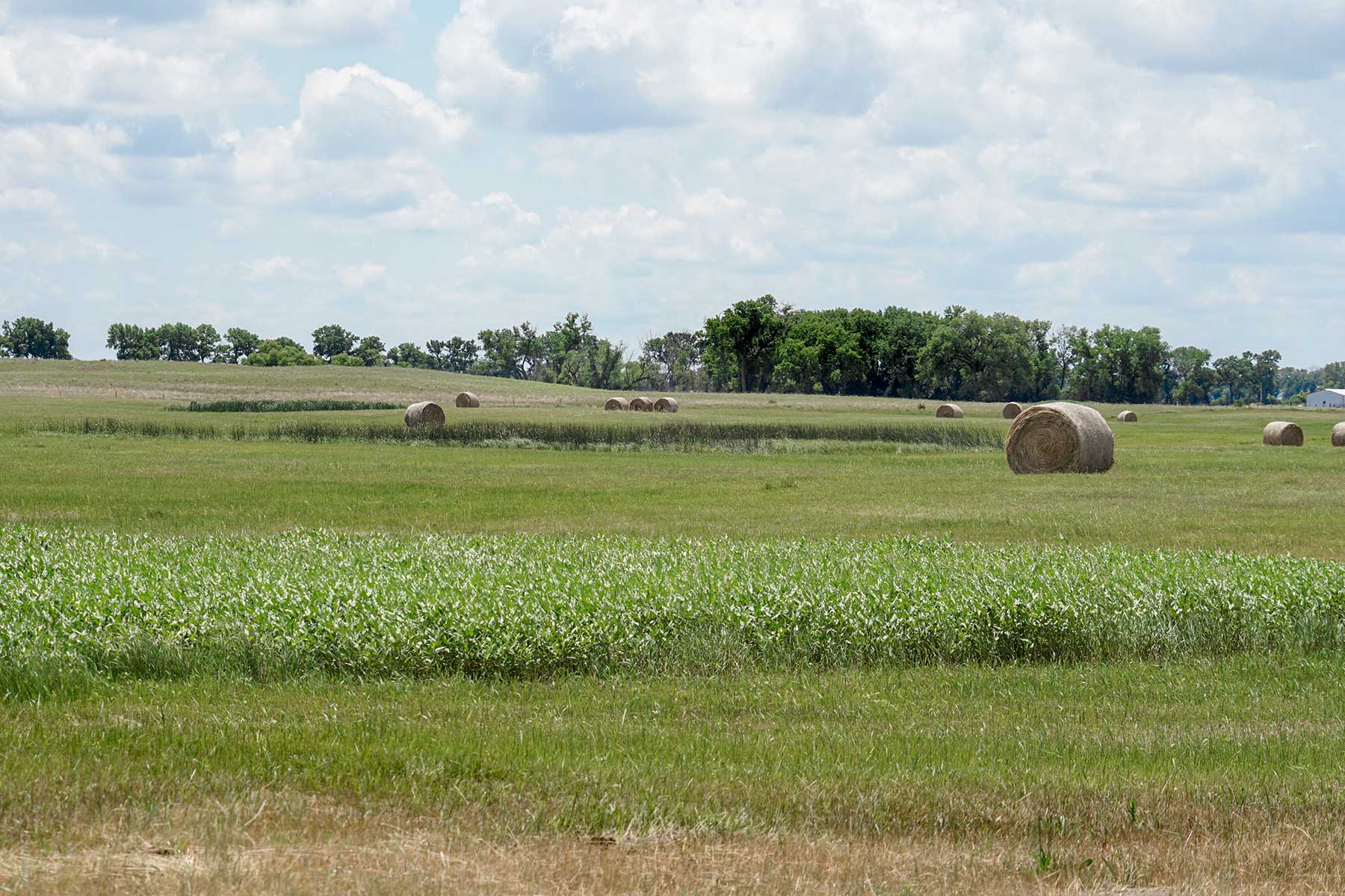 Craven Ranch property picture 9 of 55