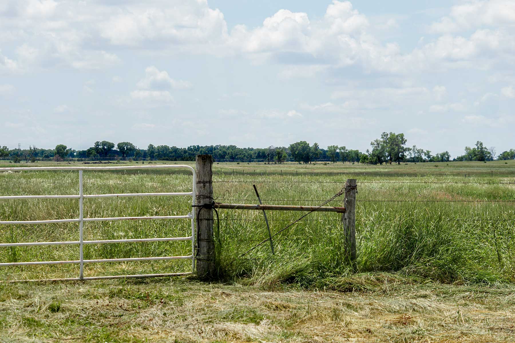 Craven Ranch property picture 39 of 55