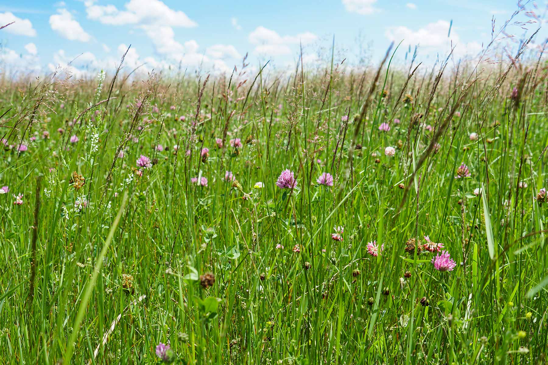 Craven Ranch property picture 52 of 55