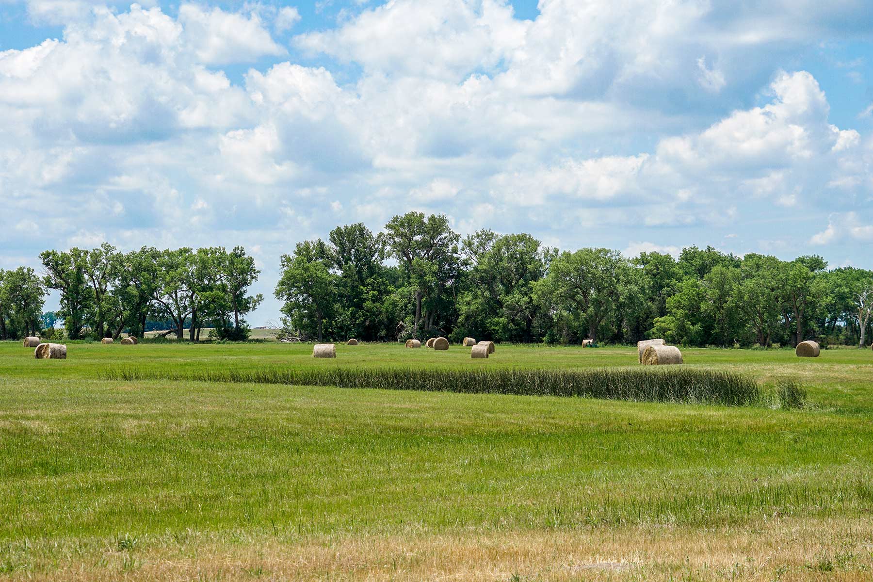 Craven Ranch property picture 54 of 55