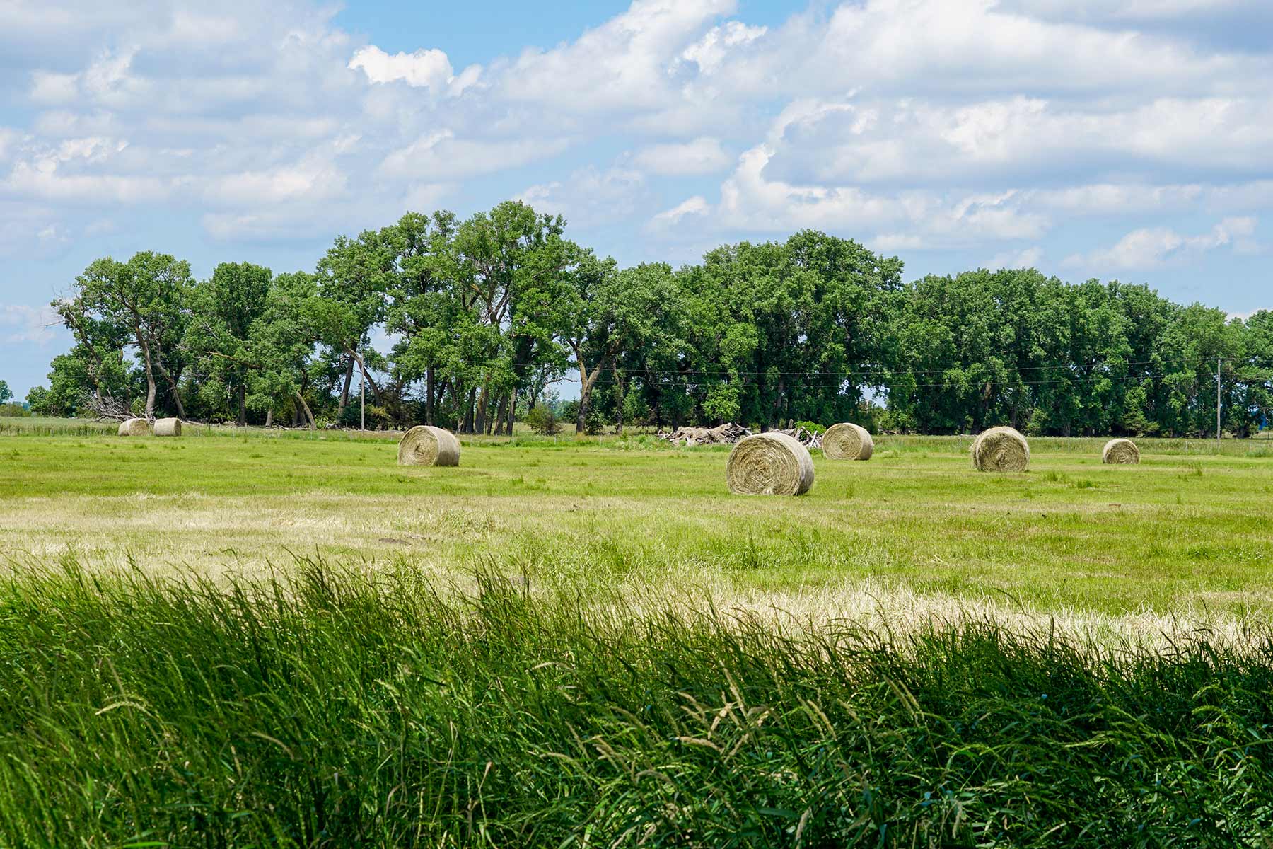 Craven Ranch property picture 33 of 55
