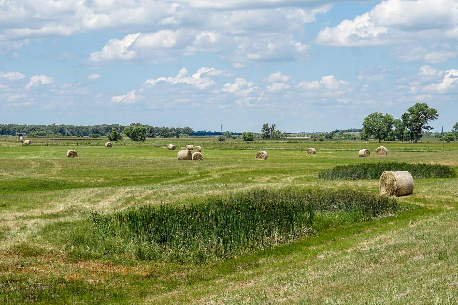 Craven Ranch property picture 55 of 55