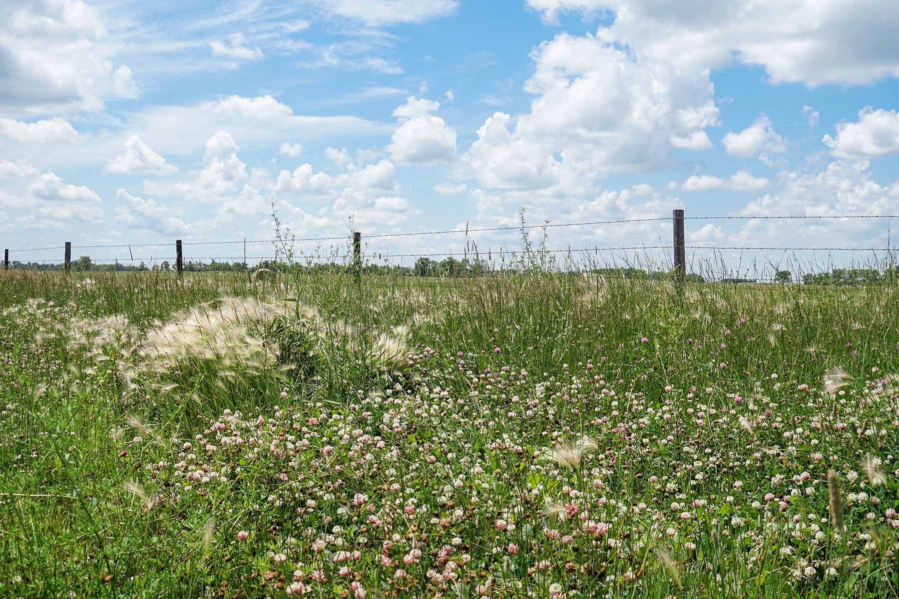 Craven Ranch property picture 4 of 55