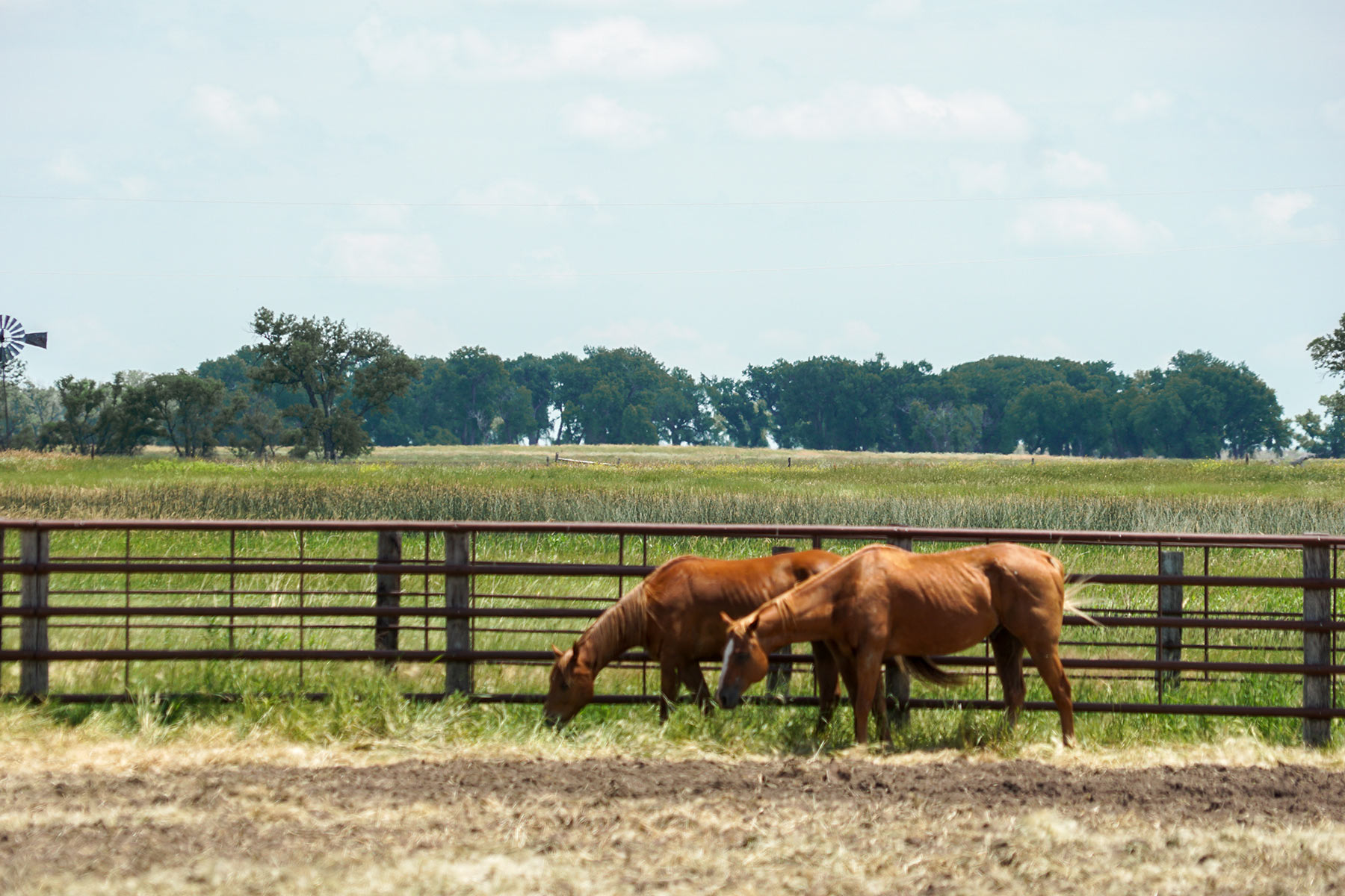Craven Ranch property picture 15 of 55