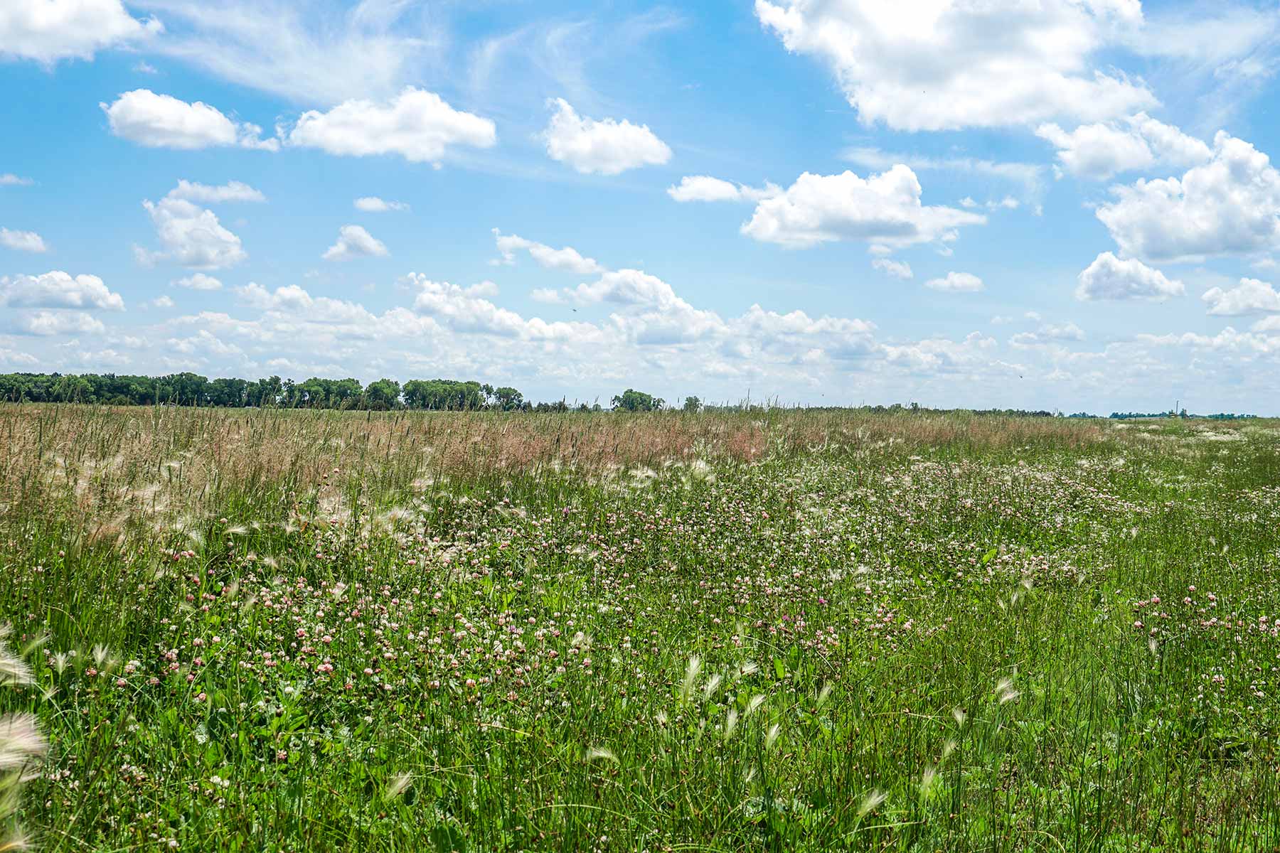 Craven Ranch property picture 38 of 55