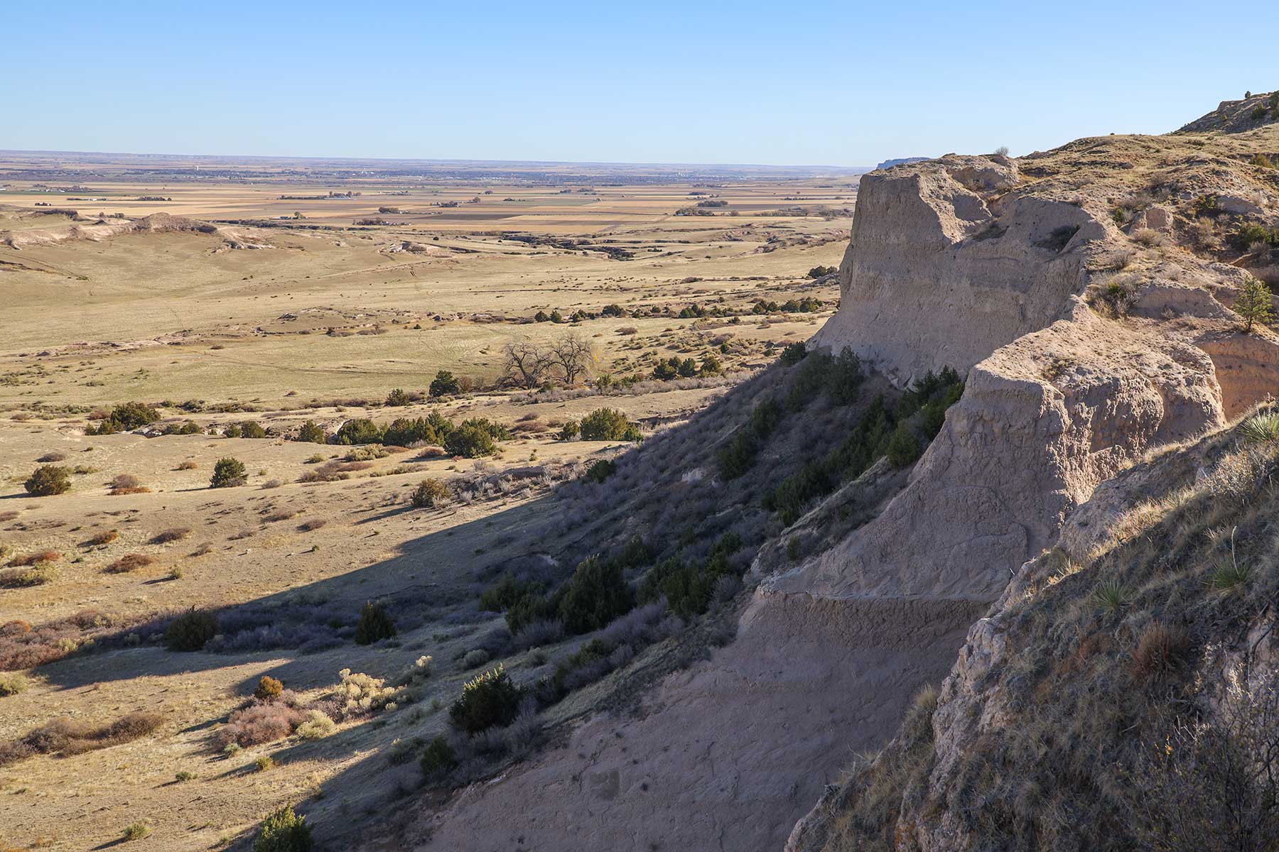 Bumpy Road Ranch property picture 21 of 43