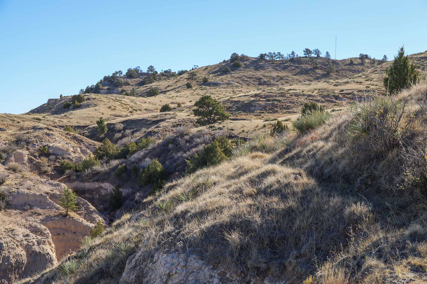 Bumpy Road Ranch property picture 22 of 43