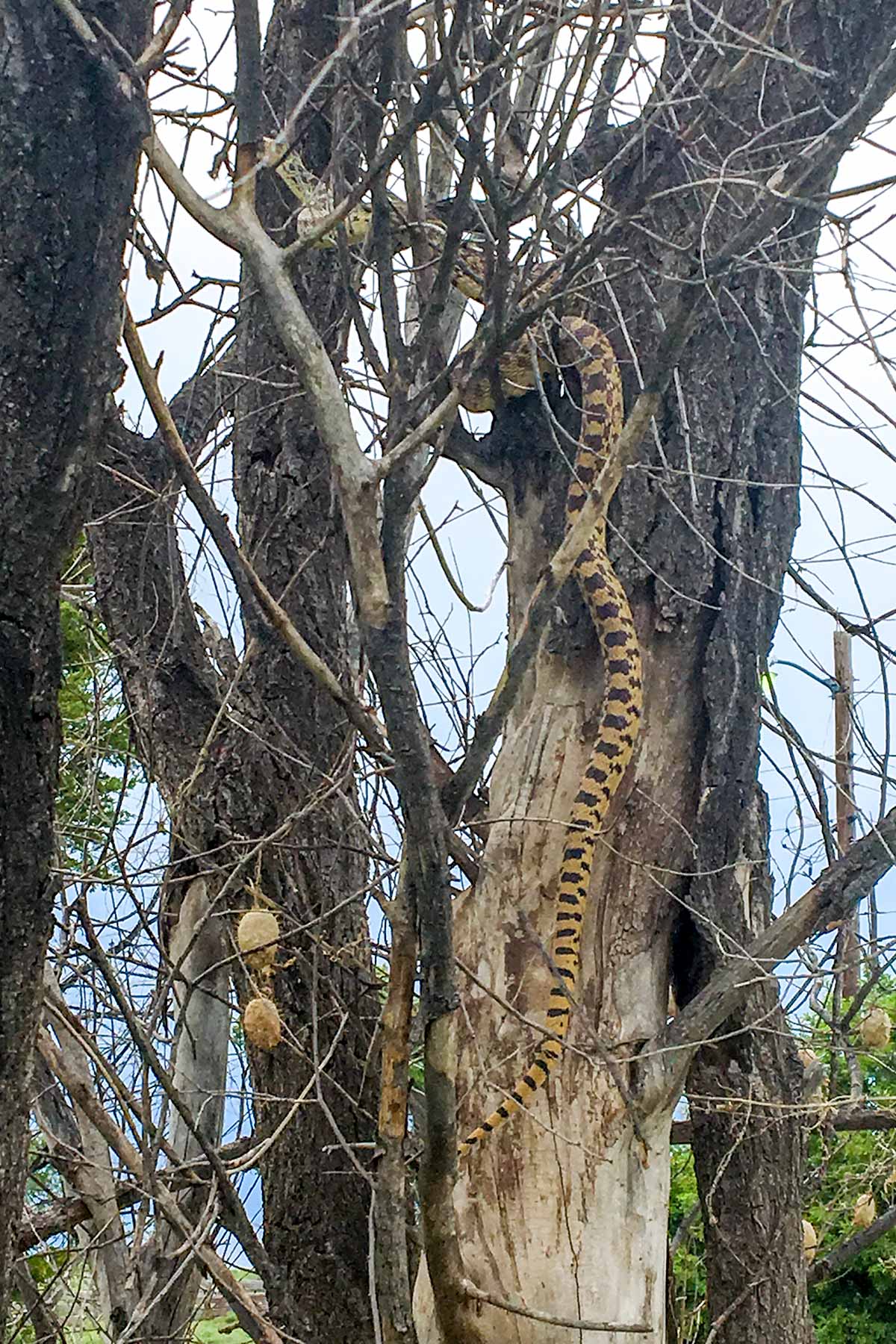 Bumpy Road Ranch property picture 39 of 43