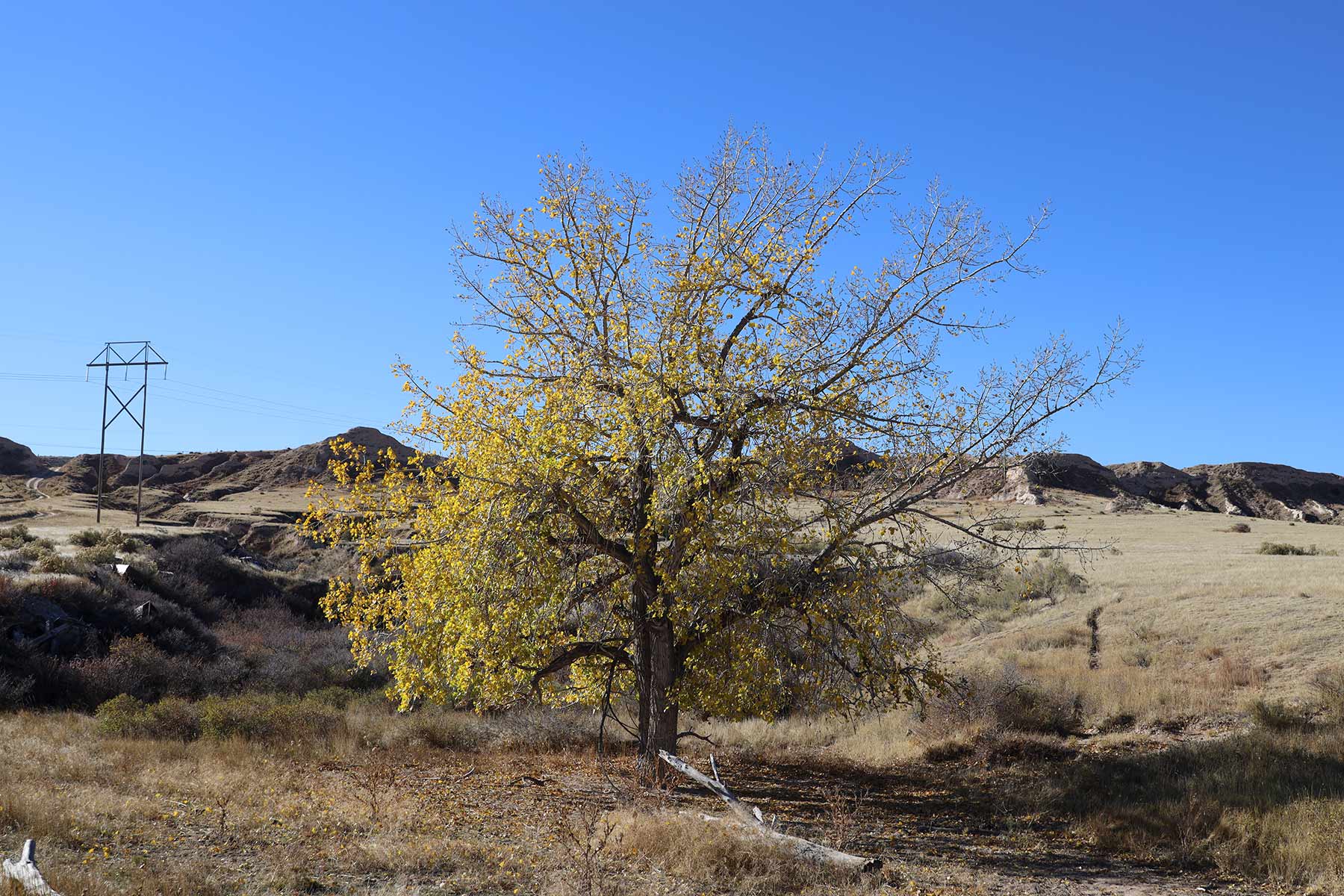 Bumpy Road Ranch property picture 17 of 43