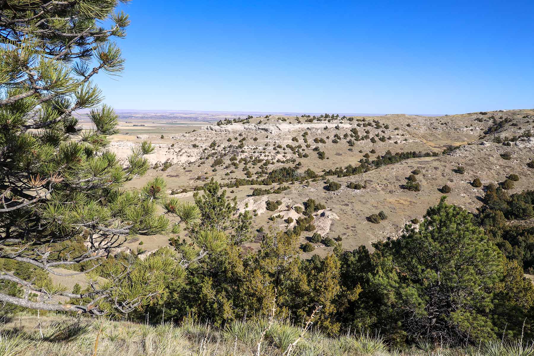 Bumpy Road Ranch property picture 12 of 43