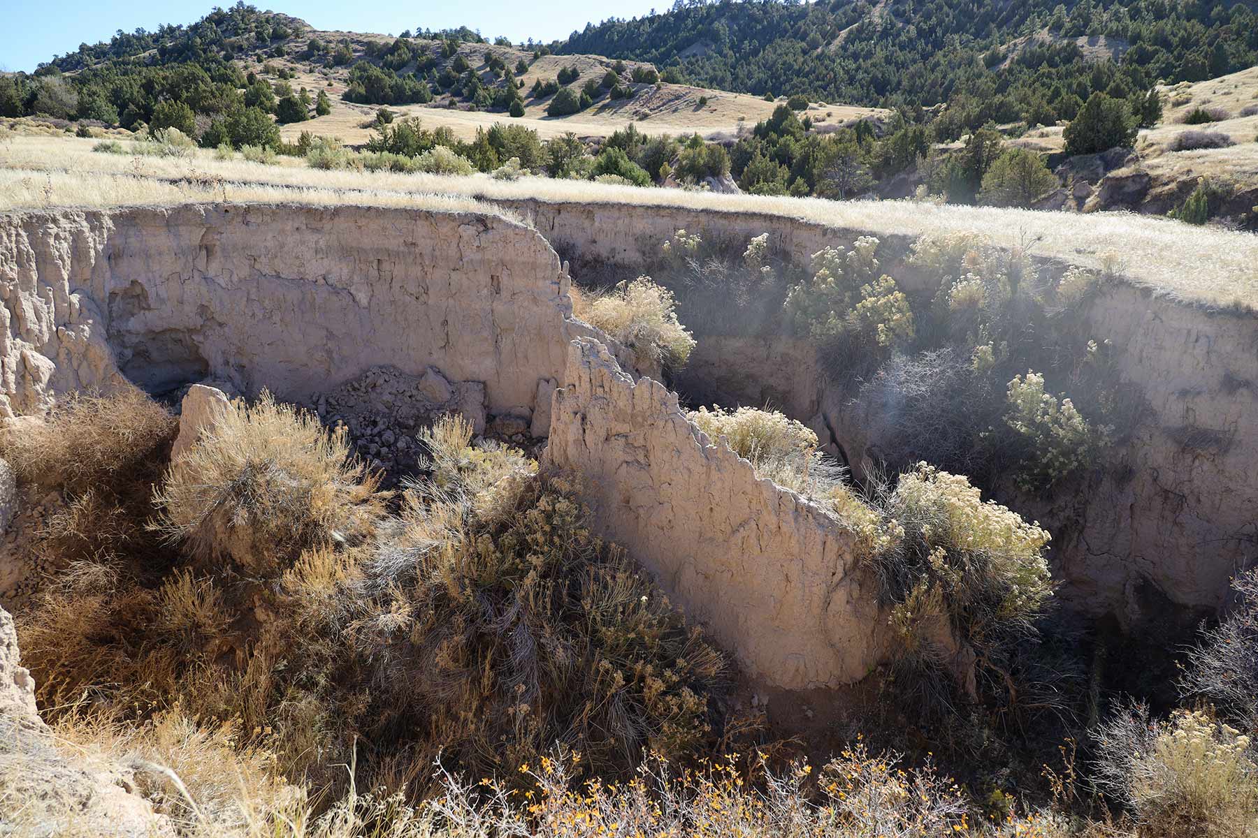 Bumpy Road Ranch property picture 37 of 43