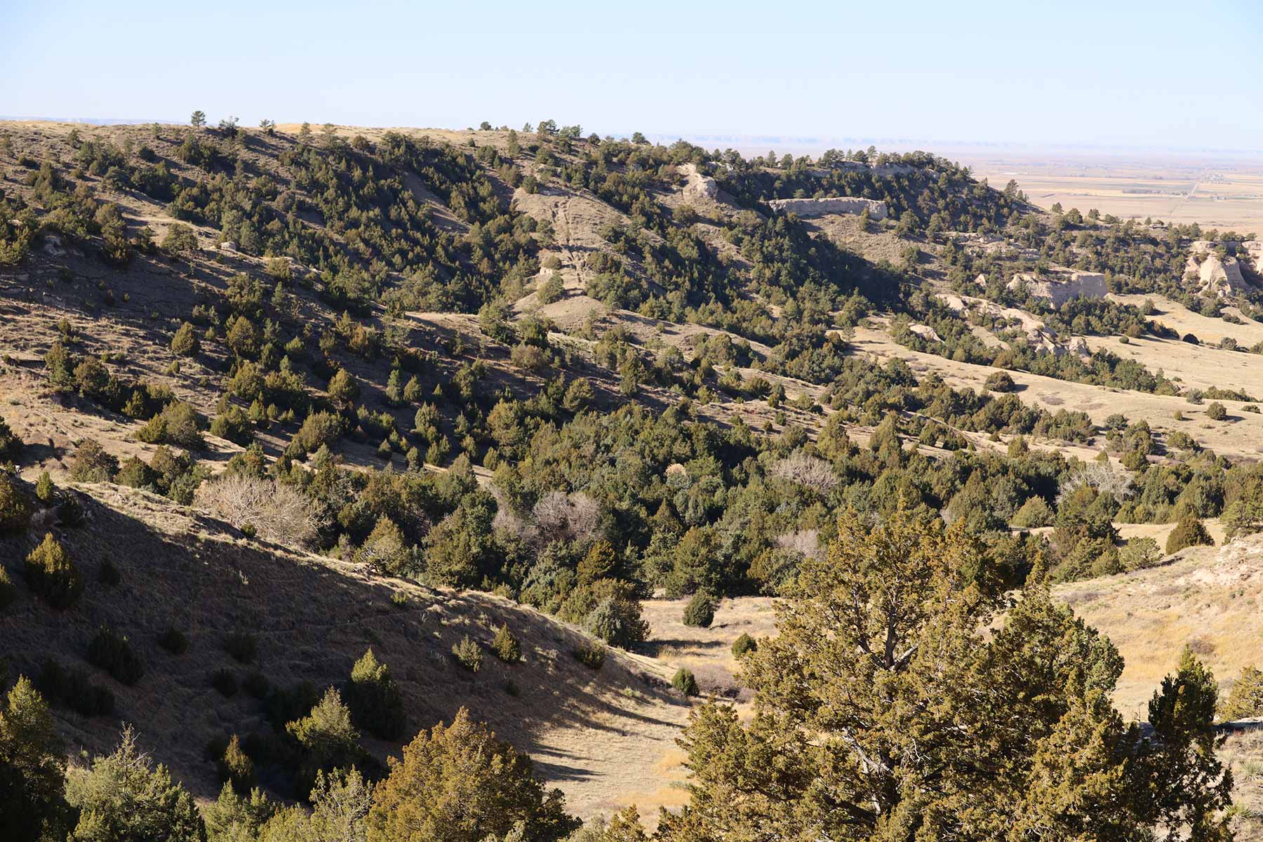 Bumpy Road Ranch property picture 6 of 43