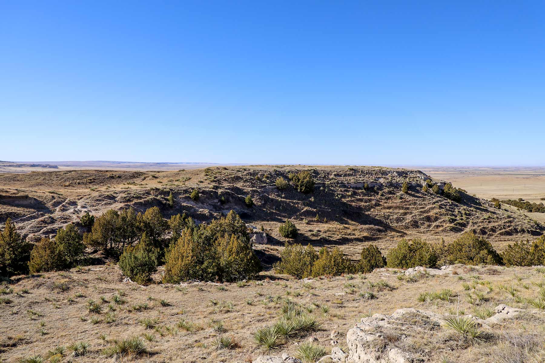 Bumpy Road Ranch property picture 32 of 43