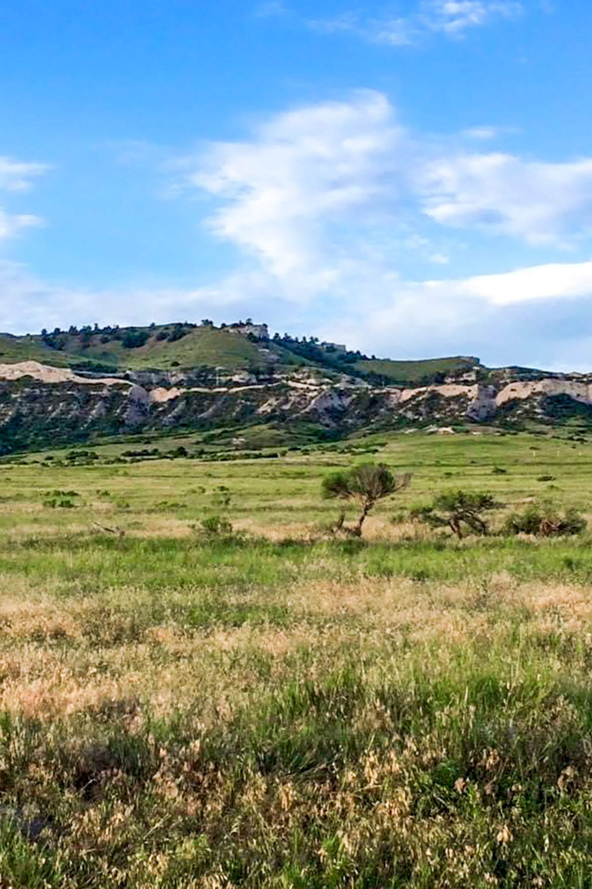 Bumpy Road Ranch property picture 2 of 43