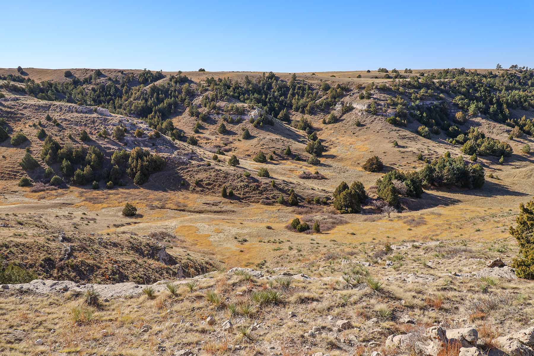 Bumpy Road Ranch property picture 8 of 43